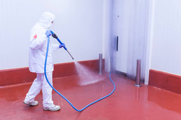 Best Boat and Dock Cleaning  in Fairmount, NY