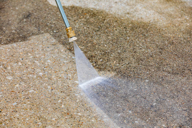 Best Animal Enclosure Cleaning  in Fairmount, NY